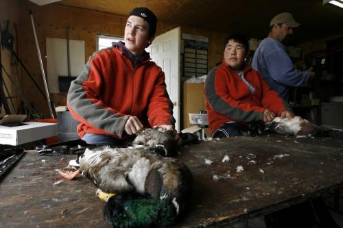 MIKE.DEAL@FREEPRESS.MB.CA 100519 - Wednesday, May 19th, 2010 OPASKWAYAK CREE NATION Students from the land-based education course at Joe E. Ross School. Zach Fontaine (left) and Norman Ballantyne (right) pull the feathers off ducks before heading out onto Pike Lake to search for Mud Hen eggs for the community feast. See Nick Martin story. MIKE DEAL / WINNIPEG FREE PRESS