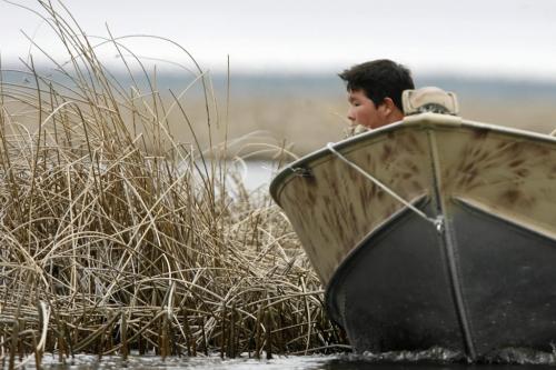 MIKE.DEAL@FREEPRESS.MB.CA 100519 - Wednesday, May 19th, 2010 OPASKWAYAK CREE NATION Students from the land-based education course at Joe E. Ross School. Norman Ballantyne looks over the side of the boat while searching for Mud Hen eggs for the community feast. See Nick Martin story. MIKE DEAL / WINNIPEG FREE PRESS