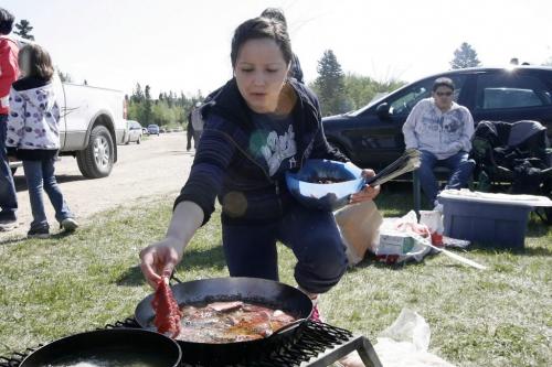 MIKE.DEAL@FREEPRESS.MB.CA 100520 - Thursday, May 20th, 2010 OPASKWAYAK CREE NATION Kaitlyn Melson-Whitehead, 17, a grade 11 student at Joe E. Ross School cooks moose in a frying pan at her during the traditional camp and community feast.  See Nick Martin story. MIKE DEAL / WINNIPEG FREE PRESS