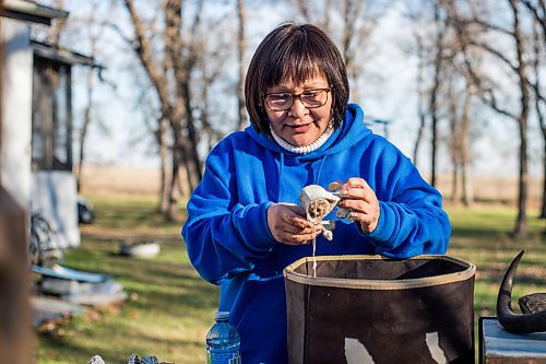 MIKAELA MACKENZIE / WINNIPEG FREE PRESS

Inuit carver Goota Ashoona looks through a bag full of carvings in her yard near Elie on Tuesday, Nov. 9, 2021. For Jen story.
Winnipeg Free Press 2021.