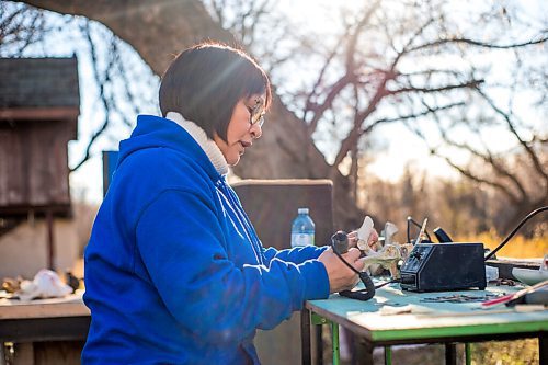 MIKAELA MACKENZIE / WINNIPEG FREE PRESS

Inuit carver Goota Ashoona, who comes from a long line of artists and whose scupture lives outside of Qaumajuq, carves whalebone in her yard near Elie on Tuesday, Nov. 9, 2021. For Jen story.
Winnipeg Free Press 2021.