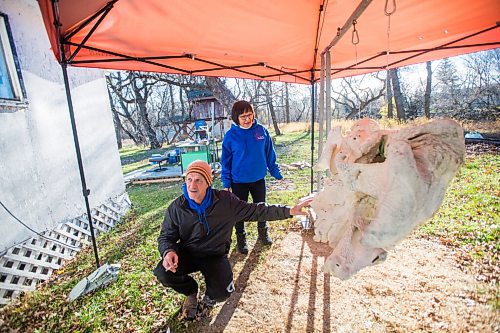 MIKAELA MACKENZIE / WINNIPEG FREE PRESS

Inuit carver Goota Ashoona and her husband, Bob Kussy, show a large carved whale skull piece done by a friend hanging in their yard near Elie on Tuesday, Nov. 9, 2021. For Jen story.
Winnipeg Free Press 2021.