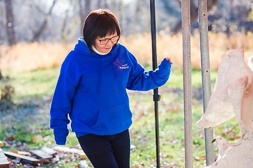 MIKAELA MACKENZIE / WINNIPEG FREE PRESS

Inuit carver Goota Ashoona, who comes from a long line of artists and whose scupture lives outside of Qaumajuq, walks out to her carving area in her yard near Elie on Tuesday, Nov. 9, 2021. For Jen story.
Winnipeg Free Press 2021.