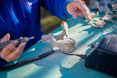 MIKAELA MACKENZIE / WINNIPEG FREE PRESS

Inuit carver Goota Ashoona, who comes from a long line of artists and whose scupture lives outside of Qaumajuq, carves whalebone in her yard near Elie on Tuesday, Nov. 9, 2021. For Jen story.
Winnipeg Free Press 2021.