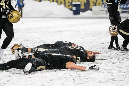 Daniel Crump / Winnipeg Free Press. Bisons players celebrate their win by making snow angels on the field after defeating the Alberta Golden Bears in the Canada West football semifinal at IG Field in Winnipeg on Saturday. November 13, 2021.