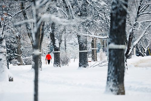 JOHN WOODS / WINNIPEG FREE PRESS
People were out enjoying the snow covered trees along Wellington Crescent in Winnipeg on Sunday, November 14, 2021. 

Re: Thorpe