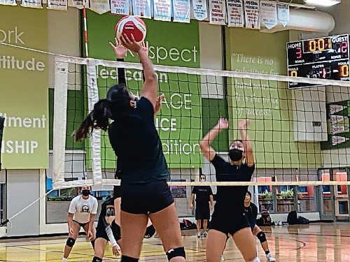 Canstar Community News Garden City Collegiate's varsity women's volleyball team runs drills to gear up for the semi-finals.