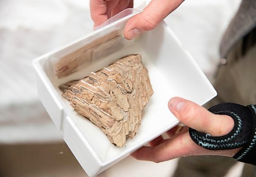 JESSICA LEE / WINNIPEG FREE PRESS

Dr. Graham Young holds a piece of fossil in the Manitoba Museum archives on November 15, 2021.

Reporter: Brenda








