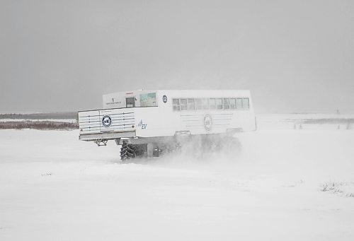 JESSICA LEE / WINNIPEG FREE PRESS

An electric Tundra Buggy is photographed on November 20, 2021 in Churchill, Manitoba.

Reporter: Sarah








