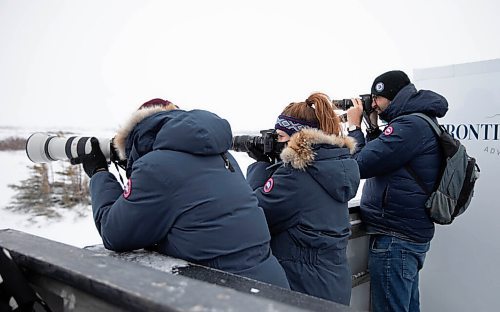 JESSICA LEE / WINNIPEG FREE PRESS

Photographers take photos of polar bears in the outdoor section of an electric Tundra Buggy on November 20, 2021 in Churchill, Manitoba.

Reporter: Sarah








