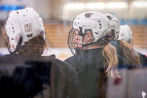 MIKAELA MACKENZIE / WINNIPEG FREE PRESS

Bisons player Lauren Warkentin (22) at practice at the Wayne Fleming Arena in Winnipeg on Wednesday, Nov. 24, 2021. For Mike Sawatzky story.
Winnipeg Free Press 2021.