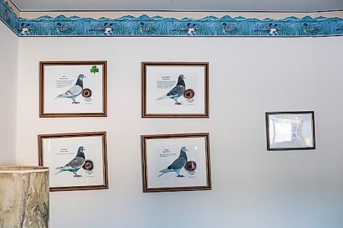 MIKAELA MACKENZIE / WINNIPEG FREE PRESS

Pigeon paraphernalia hangs in Ken Van Walleghem's bedroom in Winnipeg on Saturday, Nov. 20, 2021. For Ben Waldman story.
Winnipeg Free Press 2021.