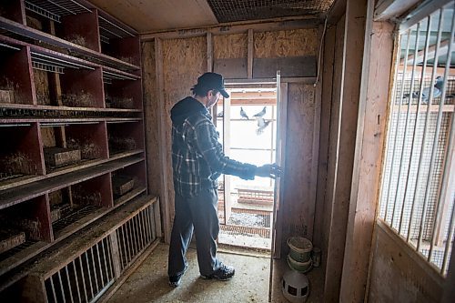 MIKAELA MACKENZIE / WINNIPEG FREE PRESS

Joe Belchior opens the door to the his racing pigeon loft on his property near Woodlands, Manitoba on Saturday, Nov. 20, 2021. For Ben Waldman story.
Winnipeg Free Press 2021.