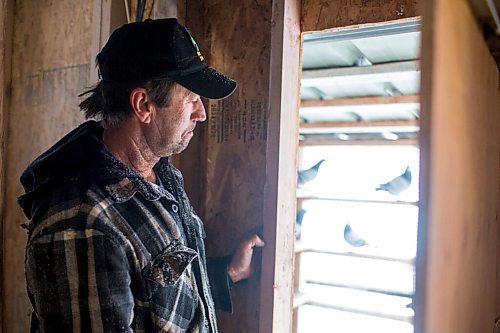 MIKAELA MACKENZIE / WINNIPEG FREE PRESS

Joe Belchior opens the door to his racing pigeon loft on his property near Woodlands, Manitoba on Saturday, Nov. 20, 2021. For Ben Waldman story.
Winnipeg Free Press 2021.