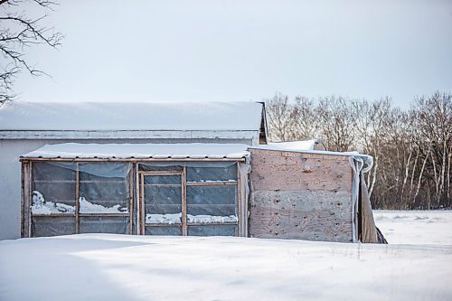 MIKAELA MACKENZIE / WINNIPEG FREE PRESS

Joe Belchior's racing pigeon loft on his property near Woodlands, Manitoba on Saturday, Nov. 20, 2021. For Ben Waldman story.
Winnipeg Free Press 2021.