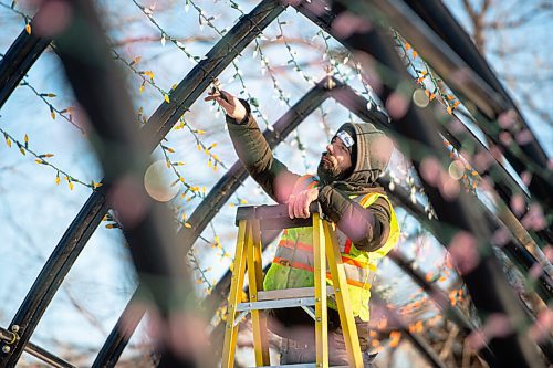 Mike Sudoma / Winnipeg Free Press
Joey Penner of Lights Unlimited, secures a strings of bulbs as he and his crew work on a large lighting display, containing over 10,000 bulbs, along a walking path at The Forks Friday afternoon. 
December 4, 2021