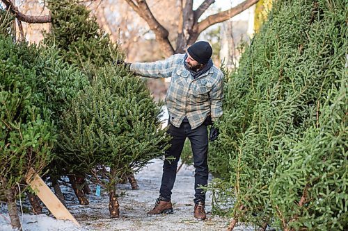 MIKAELA MACKENZIE / WINNIPEG FREE PRESS

Robin Bryan poses for a portrait with Christmas trees at Pete's Trees in Winnipeg on Friday, Dec. 3, 2021. For Martin Cash story.
Winnipeg Free Press 2021.