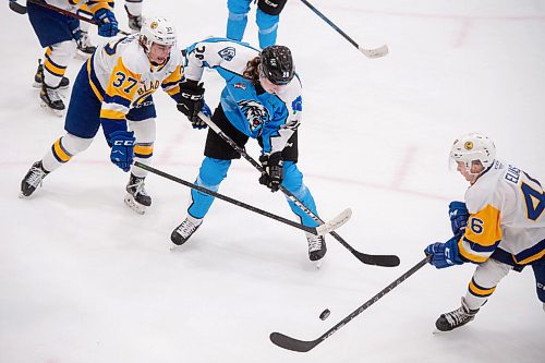 Mike Sudoma / Winnipeg Free Press
Winnipeg Ice left side, Mikey Milne, moves the puck past the Saskatoon Blades defense during their game at Wayne Flemming Arena Friday night
December 3, 2021