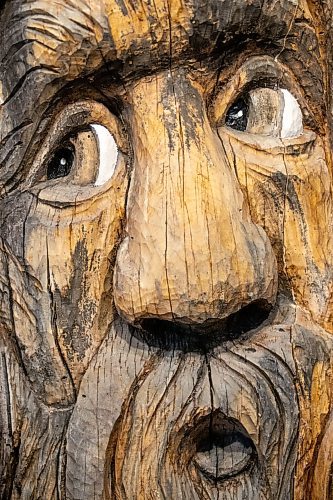 Daniel Crump / Winnipeg Free Press. Woody-Mhitik, the carved spirit tree from Bois-des-Esprits forest, has a new home/exhibit at Le Musée de Saint-Boniface Museum. December 4, 2021.
