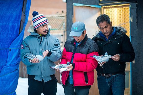 MIKAELA MACKENZIE / WINNIPEG FREE PRESS

Angelo Reyes (left), Ivan Reyes, and Alan Reyes pose for a portrait at their racing pigeon loft in Winnipeg on Friday, Nov. 26, 2021. For Ben Waldman story.
Winnipeg Free Press 2021.