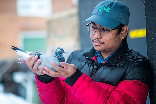 MIKAELA MACKENZIE / WINNIPEG FREE PRESS

Ivan Reyes poses for a portrait with a racing pigeon at the Team Reyes loft in Winnipeg on Friday, Nov. 26, 2021. For Ben Waldman story.
Winnipeg Free Press 2021.