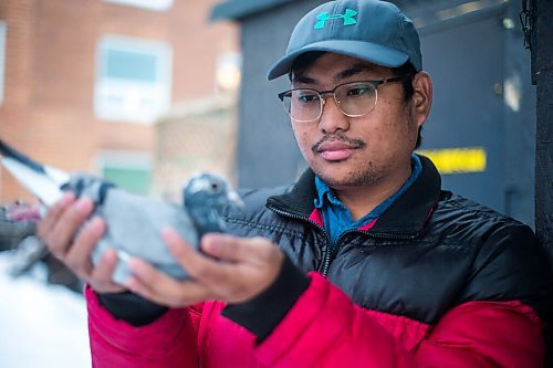 MIKAELA MACKENZIE / WINNIPEG FREE PRESS

Ivan Reyes poses for a portrait with a racing pigeon at the Team Reyes loft in Winnipeg on Friday, Nov. 26, 2021. For Ben Waldman story.
Winnipeg Free Press 2021.