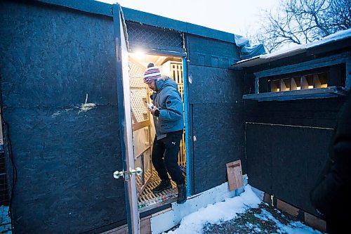 MIKAELA MACKENZIE / WINNIPEG FREE PRESS

Angelo Reyes at the Team Reyes racing pigeon loft in Winnipeg on Friday, Nov. 26, 2021. For Ben Waldman story.
Winnipeg Free Press 2021.