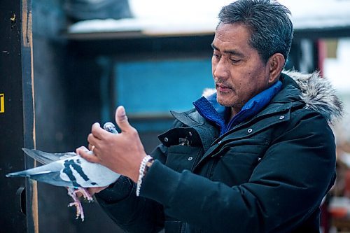 MIKAELA MACKENZIE / WINNIPEG FREE PRESS

Alan Reyes poses for a portrait with a racing pigeon at the Team Reyes loft in Winnipeg on Friday, Nov. 26, 2021. For Ben Waldman story.
Winnipeg Free Press 2021.