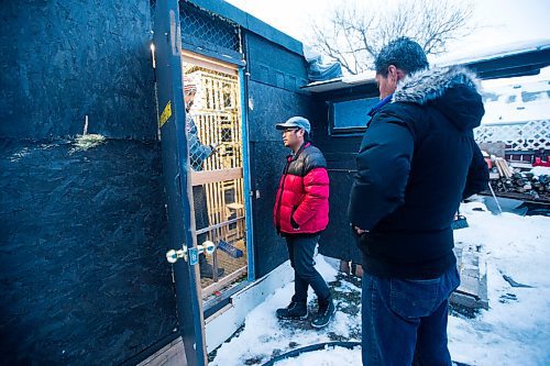 MIKAELA MACKENZIE / WINNIPEG FREE PRESS

Angelo Reyes (left), Ivan Reyes, and Alan Reyes at the Team Reyes racing pigeon loft in Winnipeg on Friday, Nov. 26, 2021. For Ben Waldman story.
Winnipeg Free Press 2021.