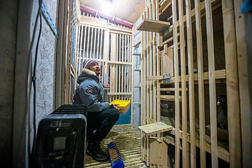 MIKAELA MACKENZIE / WINNIPEG FREE PRESS

Angelo Reyes feeds the birds at the Team Reyes racing pigeon loft in Winnipeg on Friday, Nov. 26, 2021. For Ben Waldman story.
Winnipeg Free Press 2021.