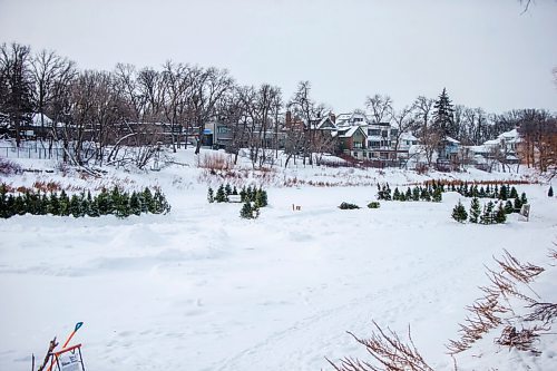 MIKAELA MACKENZIE / WINNIPEG FREE PRESS

Repurposed Christmas trees at the Wolseley Winter Wonderland skating network on the Assiniboine River in Winnipeg on Wednesday, Jan. 5, 2022. For Malak story.
Winnipeg Free Press 2022.