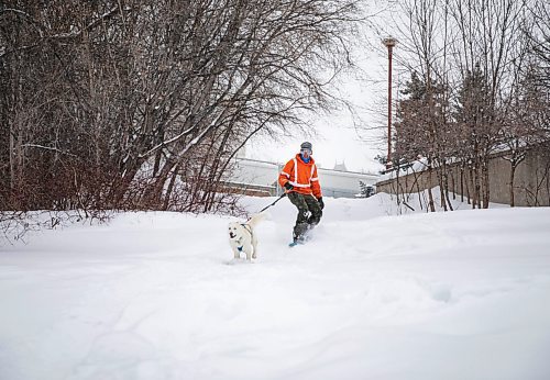 JESSICA LEE / WINNIPEG FREE PRESS

Jeremy Stevens work called a snow day so he and his dog Taiga went to The Forks. He is seen snowboarding down some steps at The Forks with Taiga on January 18, 2022. 







