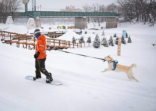 JESSICA LEE / WINNIPEG FREE PRESS

Jeremy Stevens work called a snow day so he and his dog Taiga went to The Forks. He is seen snowboarding down some steps at The Forks with Taiga on January 18, 2022. 







