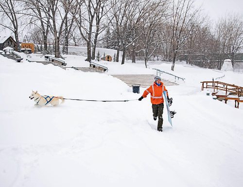 JESSICA LEE / WINNIPEG FREE PRESS

Jeremy Stevens work called a snow day so he and his dog Taiga went to The Forks. He is seen snowboarding down some steps at The Forks with Taiga on January 18, 2022. 







