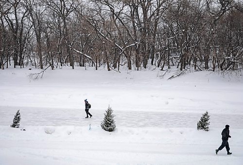 JESSICA LEE / WINNIPEG FREE PRESS

Pedestrians skate and run at The Forks on January 18, 2022. 







