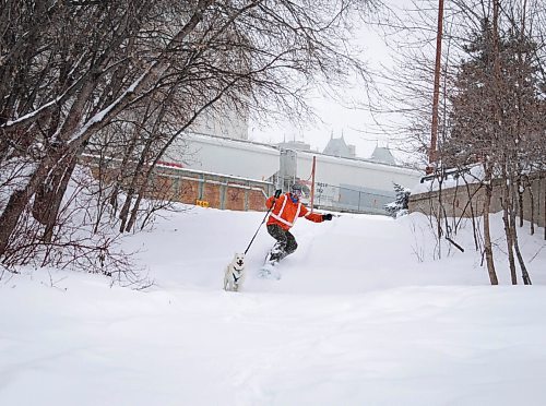 JESSICA LEE / WINNIPEG FREE PRESS

Jeremy Stevens work called a snow day so he and his dog Taiga went to The Forks. He is seen snowboarding down some steps at The Forks with Taiga on January 18, 2022. 







