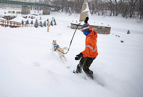 JESSICA LEE / WINNIPEG FREE PRESS

Jeremy Stevens work called a snow day so he and his dog Taiga went to The Forks. He is seen snowboarding down some steps at The Forks with Taiga on January 18, 2022. 







