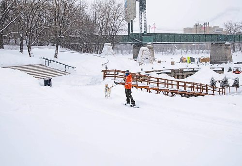 JESSICA LEE / WINNIPEG FREE PRESS

Jeremy Stevens work called a snow day so he and his dog Taiga went to The Forks. He is seen snowboarding down some steps at The Forks with Taiga on January 18, 2022. 







