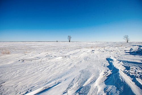 MIKAELA MACKENZIE / WINNIPEG FREE PRESS

Snowy fields near the Canada/US border about 10km east of Emerson on Thursday, Jan. 20, 2022. Two adults, one teenager, and one infant were found deceased in the area. For Chris Kitching story.
Winnipeg Free Press 2022.