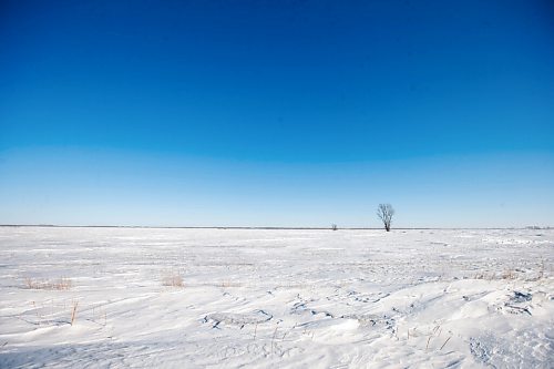 MIKAELA MACKENZIE / WINNIPEG FREE PRESS

Snowy fields near the Canada/US border about 10km east of Emerson on Thursday, Jan. 20, 2022. Two adults, one teenager, and one infant were found deceased in the area. For Chris Kitching story.
Winnipeg Free Press 2022.