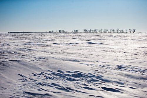 MIKAELA MACKENZIE / WINNIPEG FREE PRESS

Snowy fields near the Canada/US border about 10km east of Emerson on Thursday, Jan. 20, 2022. Two adults, one teenager, and one infant were found deceased in the area. For Chris Kitching story.
Winnipeg Free Press 2022.