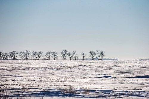 MIKAELA MACKENZIE / WINNIPEG FREE PRESS

Snowy fields near the Canada/US border about 10km east of Emerson on Thursday, Jan. 20, 2022. Two adults, one teenager, and one infant were found deceased in the area. For Chris Kitching story.
Winnipeg Free Press 2022.