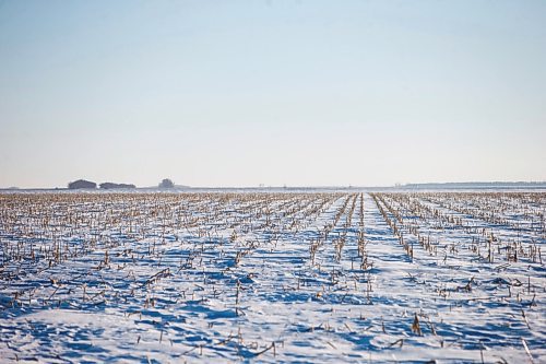 MIKAELA MACKENZIE / WINNIPEG FREE PRESS

Snowy fields near the Canada/US border about 10km east of Emerson on Thursday, Jan. 20, 2022. Two adults, one teenager, and one infant were found deceased in the area. For Chris Kitching story.
Winnipeg Free Press 2022.