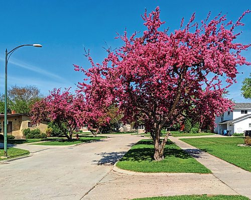 Canstar Community News Streets such as Sweetwood Bay in Garden City are unparalleled anywhere else in Winnipeg.