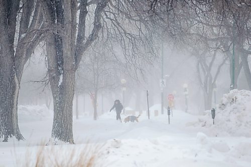 MIKAELA MACKENZIE / WINNIPEG FREE PRESS

Joel Deal Torre and his dog, Nylo, battle the blowing snow while walking on the legislative grounds in Winnipeg on Tuesday, Feb. 1, 2022.  Standup.
Winnipeg Free Press 2022.