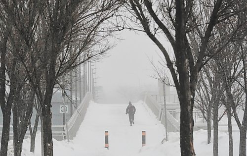 MIKE DEAL / WINNIPEG FREE PRESS
A jogger makes their way over the Disraeli Active Transportation Bridge Tuesday morning despite blizzard conditions.
220201 - Tuesday, February 01, 2022.