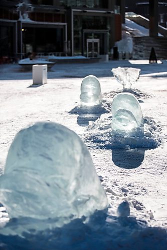 MIKAELA MACKENZIE / WINNIPEG FREE PRESS

An ice sculpture of belugas at True North Square in Winnipeg on Friday, Feb. 4, 2022. For Kevin story.
Winnipeg Free Press 2022.