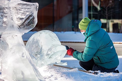 MIKAELA MACKENZIE / WINNIPEG FREE PRESS

Peter Hargraves works on the finishing touches of an ice sculpture of belugas at True North Square in Winnipeg on Friday, Feb. 4, 2022. For Kevin story.
Winnipeg Free Press 2022.