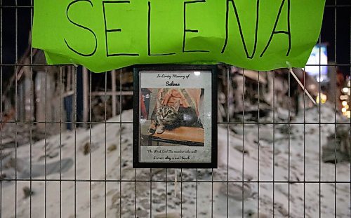 JESSICA LEE / WINNIPEG FREE PRESS

A memorial for Selena the cat is photographed on February 9, 2022. The office which Selena lived in recently burned down on February 2, 2022. The building is covered with ice from the water the firefighters used to put out the flames.

Reporter: Ben






