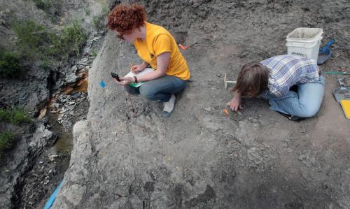 JOE.BRYKSA@FREEPRESS.MB.CA  Near Morden, Manitoba- ( See Carol's story)- Andrea Hrenchuk, left , and  Kati Slater-Szirom unearth a  Xiphactinus a voracious predatory fish that lived 80 million years ago in the Western Interior Seaway, sharing the waters with mosasaurs and other marine reptiles Near Morden, Manitoba Friday afternoonb. Based on the size of the bones collected thus far, the CFDCs newest specimen is between 18-20 feet long, making it the largest in the museums collection of prehistoric fish fossils.    July 16, 2010, - JOE BRYKSA/WINNIPEG FREE PRESS